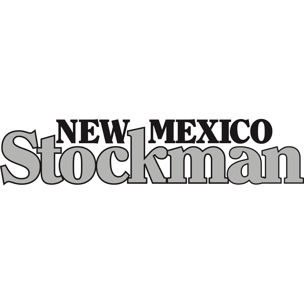 business-spotlight-caren-cowan-her-many-ventures-new-mexico